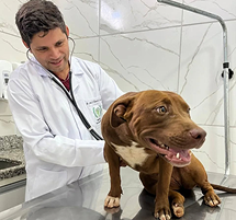 Clínica Veterinária main